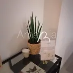 Amariacity Al