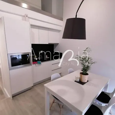 公寓 Amariacity Al 阿威罗